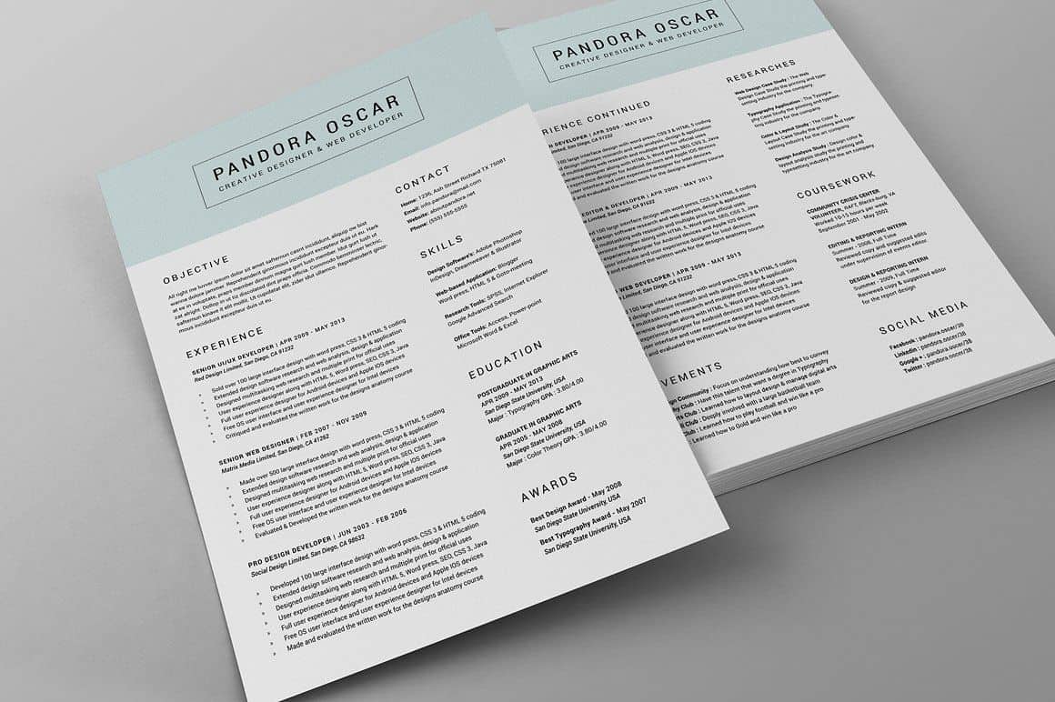 Clean Resume CV