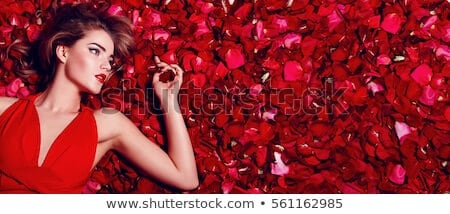 200 ngàn hình ảnh hoa hồng Valentine chất lượng cao tuyệt đẹp