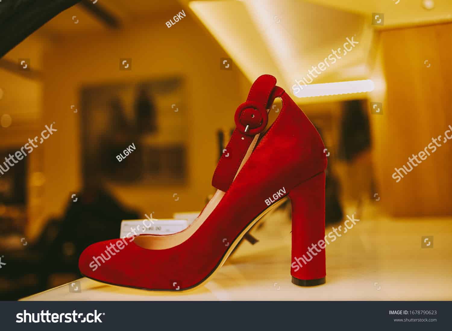 97 ngàn hình ảnh giày nữ chất lượng cao trên Shutterstock