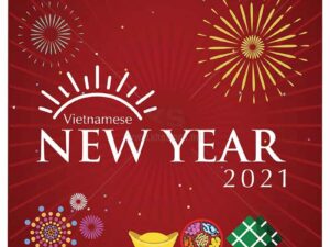 Vector VietNam New Year 2021 - KS883