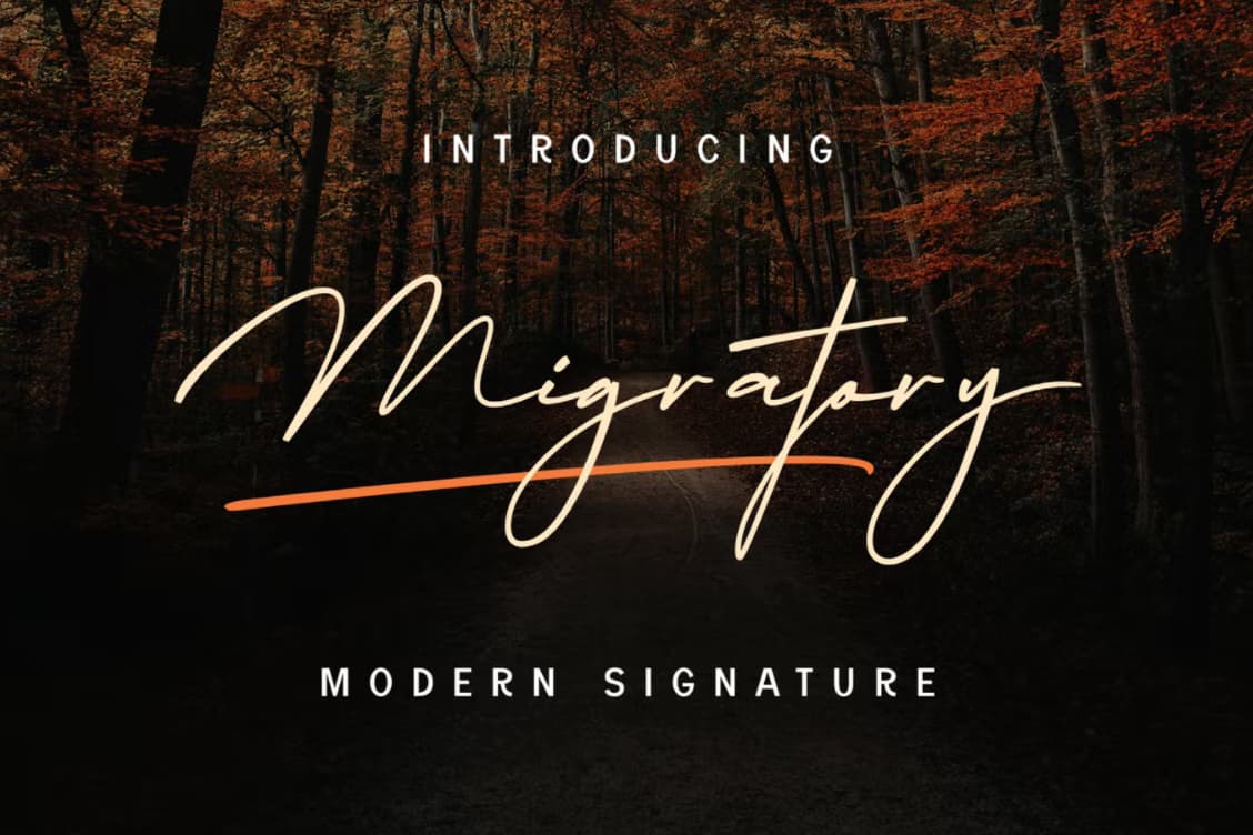 Font Chữ Migratory viết tay tuyệt đẹp - KS2838