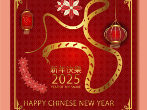 Banner Happy New Year 2025 - TET227