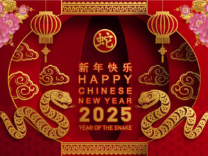 Banner rắn vàng 2025 - TET239