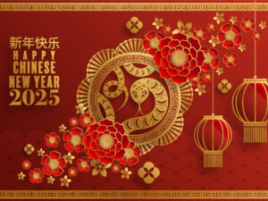 Banner Happy New Year 2025 - TET241