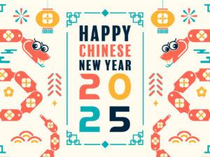 Vector Happy New Year 2025 - TET262