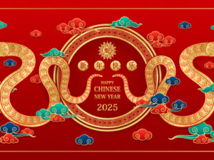 Banner rắn vàng 2025 - TET263