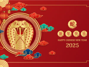 Banner 2025 với rắn vàng - TET267