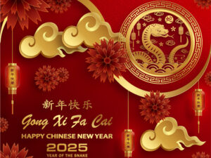 Vector Happy New Year 2025 - TET311