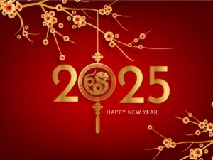 Vector hoa mai vàng 2025 - TET321