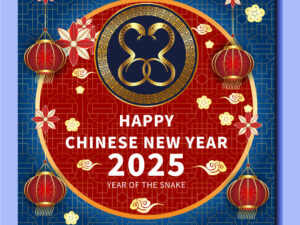 Vector Happy New Year 2025 - TET341